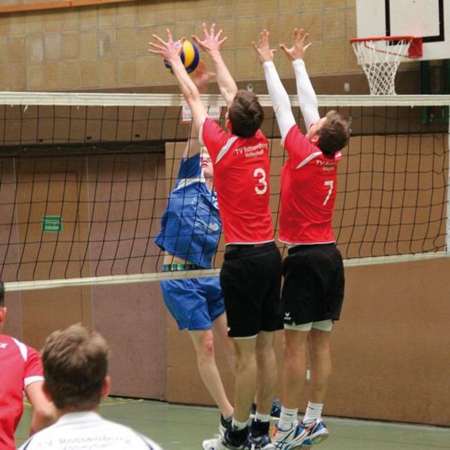 Bilder Volleyball